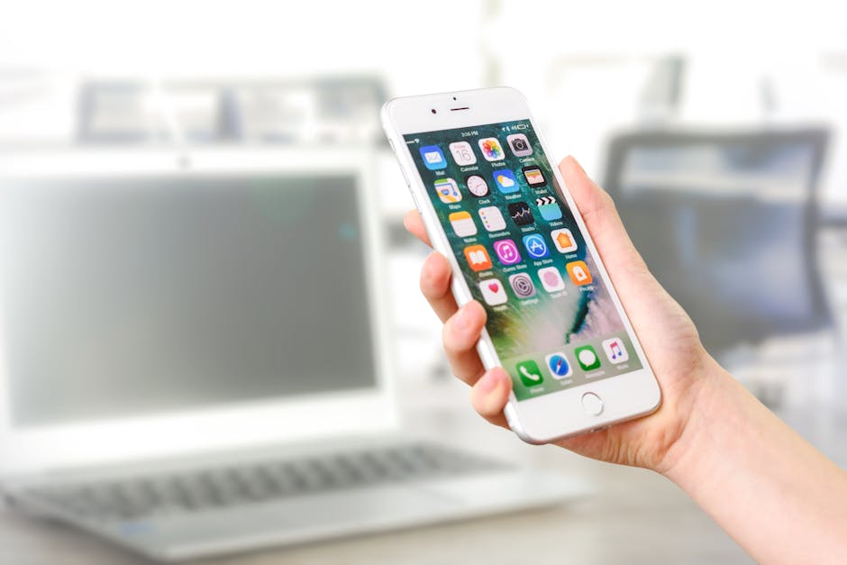 phone number lookup